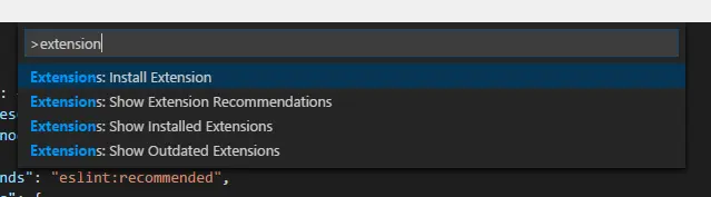 VS Code Extension Install